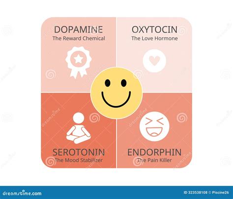 serotonin dopamine oxytocin endorphins  happy hormones
