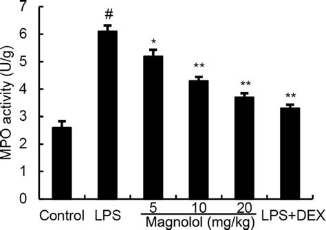 Myeloperoxidase Mpo Activity Assay Mpo Activity In Mammary Tissue