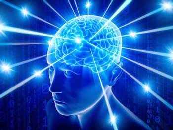 interesting facts  human memory