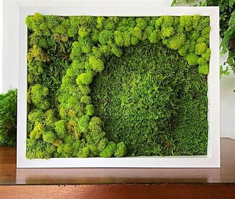 Living Wall Garden, Living Wall Art, Living Wall Indoor, Moss Wall Art, Moss Art, Moss Covered ...