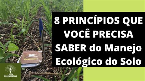 Manejo Ecol Gico Do Solo Princ Pios Que Voc Precisa Saber Youtube