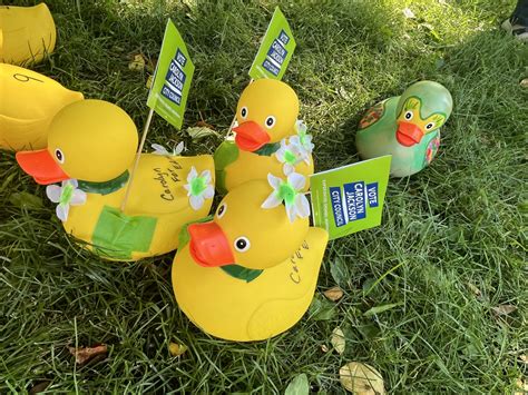 Lucky Duck Race 2024 — Edina Community Foundation