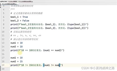 Python从入门到精通第三章——1数据输入、布尔类型和比较运算类型python Input输入布尔 Csdn博客