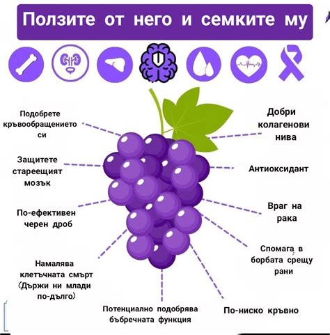 Ползи за здравето от ядене на грозде🍇 1️⃣Може да намали кръвното ...