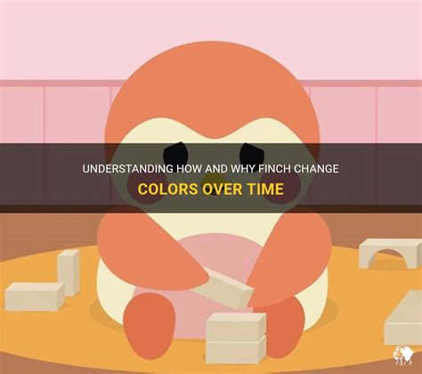 Understanding How And Why Finch Change Colors Over Time | PetShun