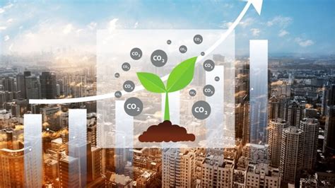 World Carbon Credits: A Sustainable Solution for a Greener Future ...