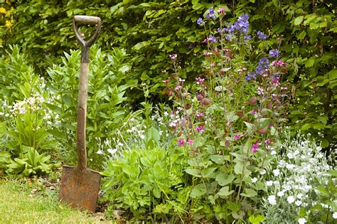 Chaos Gardening Is the Easiest Way to Grow Your Dream Garden