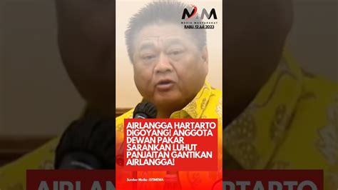 Airlangga Hartarto Digoyang Anggota Dewan Pakar Usulkan Luhut