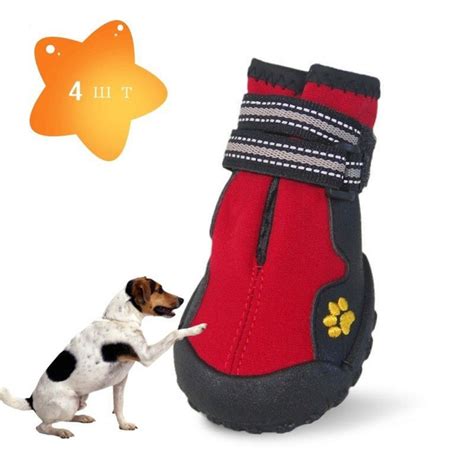 Обувь для собак 01 - купить с доставкой по выгодным ценам в интернет ...