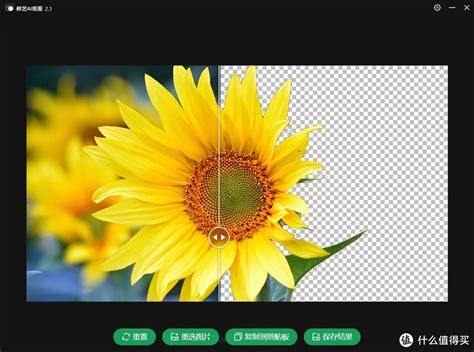 免费ai抠图神器！鲜艺ai抠图，让你的照片瞬间变大片办公软件什么值得买
