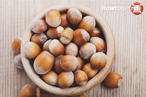 Фундук - полезные свойства и противопоказания