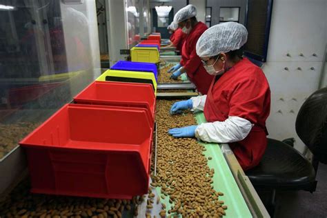 Why Much Of Californias Top Crop — Almonds — Has Been Purchased But