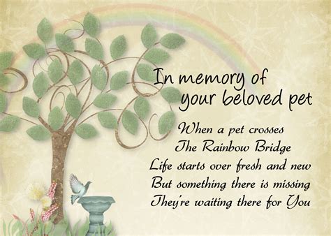 Rainbow Bridge pet loss sympathy | Flickr - Photo Sharing!