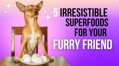 Top 5 Superfoods For Your Dog Youtube