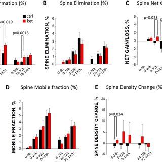 Western Blot Images A And Summary Of Effects Of Ketamine On The