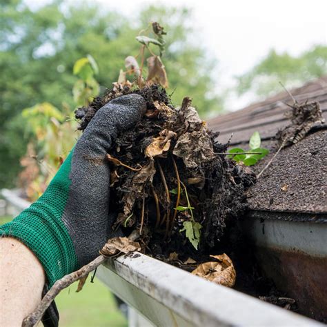 Gutter Cleaning: How to Clean Gutters in 6 Steps