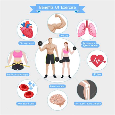 Premium Vector | Benefits of exercise diagram isolated on grey