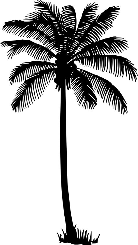 Palm Vector