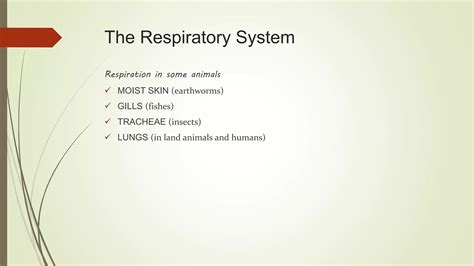 Respiratory System Lesson 2pptx