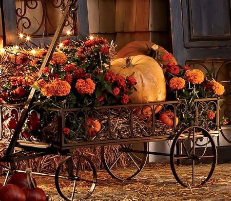 Fall Flowers And Pumpkins Wallpaper