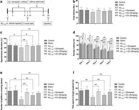 Euxanthone Improves Aβ1 42 Induced Memory And Learning Dysfunction A