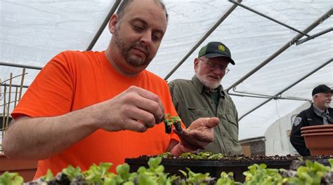 Western N.Y. inmates combat climate change from behind bars