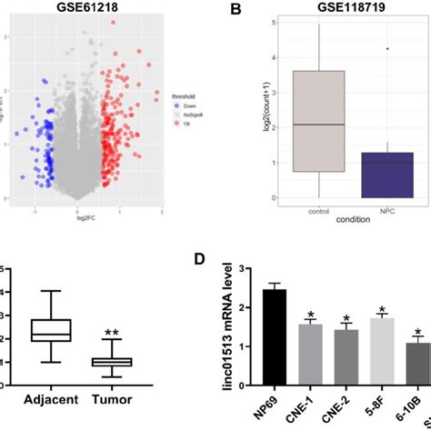 Expression Of Linc01513 In Nasopharyngeal Carcinoma A Lncrnas Download Scientific Diagram