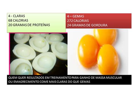 O Que Tem Mais Proteina Clara Ou Gema - Personal Trainer - André: OVO - DIFERENÇA ENTRE CLARA E GEMA