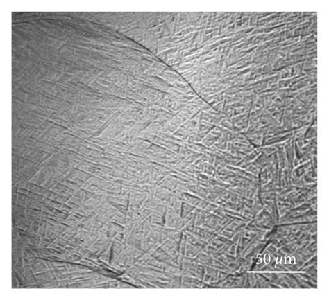 Microstructure Evolution Of Specimens At Different Cooling Rates