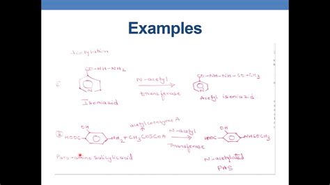 ACETYLATION - YouTube