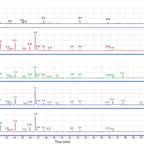 Total Ion Current Chromatograms Of Volatile Compounds Detected By Download Scientific Diagram