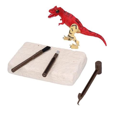 KIMISS Kits D Excavation De Fossiles De Dinosaures Kit De Fouille De