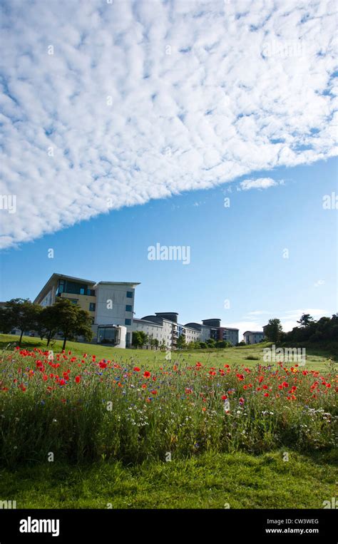 UEA student accommodation Stock Photo - Alamy