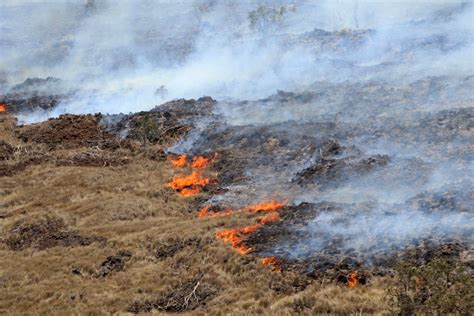 Sequía Y Viento Atizan Incendio Forestal En Hawai Independent Español