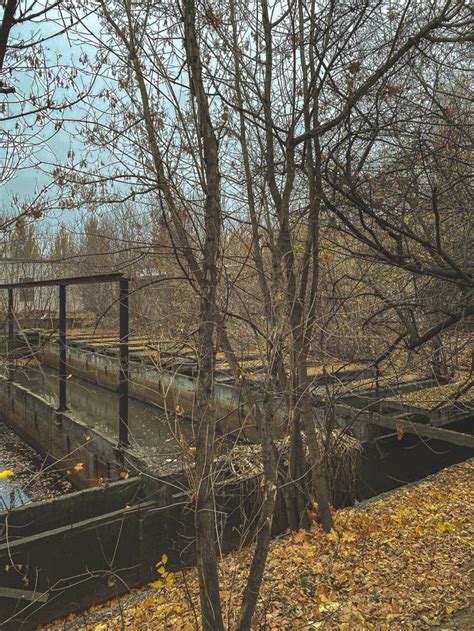 для грустных