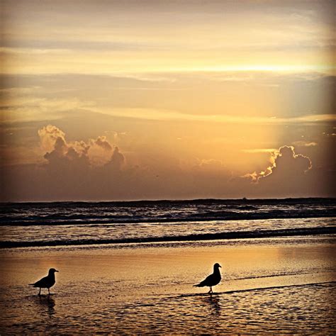 Daytona Beach Sunrise | Sunrise beach, Daytona beach, Sunrise sunset