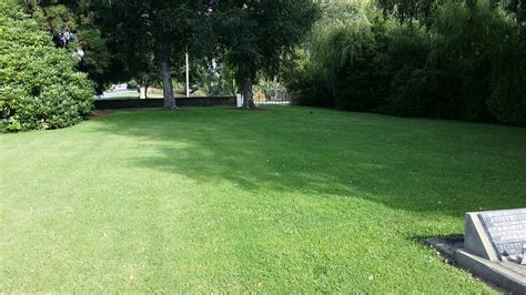 How the timaru herald nz covers local events so quickly 12