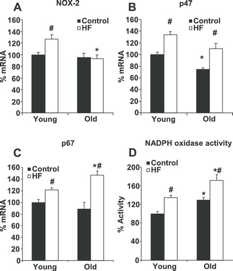 Mrna Levels Of Nadph Oxidase Nox A P B And P C Subunits