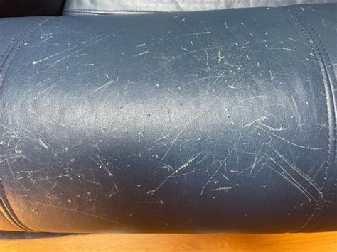 How To Repair Dog Scratches On Leather Couch Quick Fixes