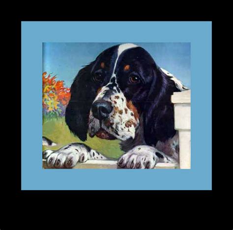 vintage dog poster  stock photo public domain pictures