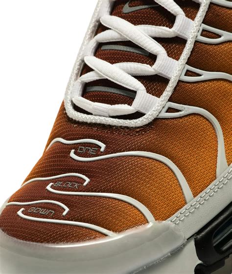 An easy guide to navigating tn one dhs currently 7