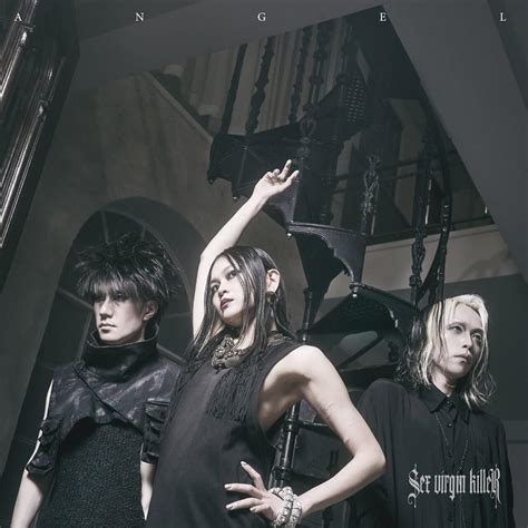Sex Virgin Killer to release rd album vkgy ブイケージ