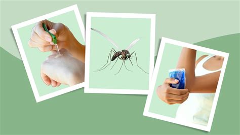 7 Natural Ways To Prevent Mosquito Bites