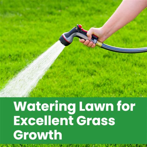 how much to water grass