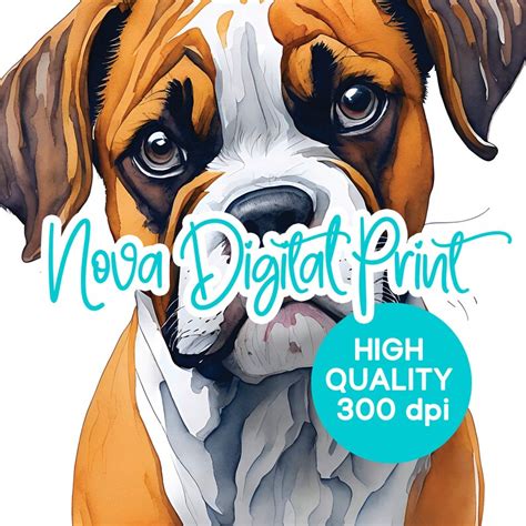 Most Popular Dog Breeds Digital Clipart Collection Cute Dog