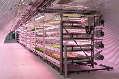 Rethinking Agriculture Underground Farming Environbuzz Magazine