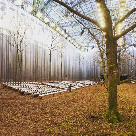 Có show nào xôm hơn Chanel Dàn sao hot Hoa Hàn Thái hội tụ cùng lạc lối trong khu rừng mùa thu