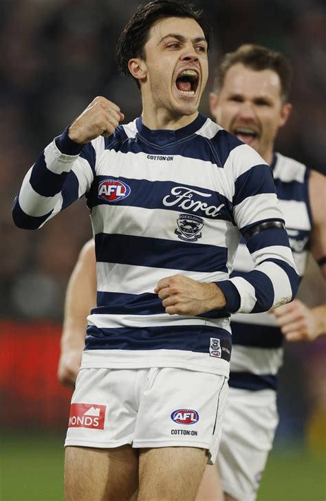geelong fan bids     vintage guernsey geelong