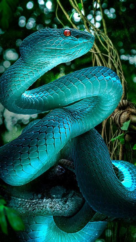 Blue Snake Wallpaper