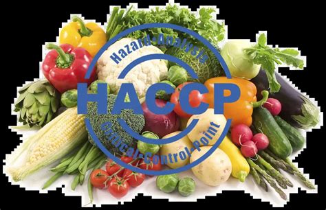 Syst Me Haccp Analyse Des Dangers Et Points Critiques Pour Leur